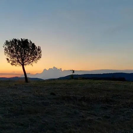 Appartement San Venanzo Baccano